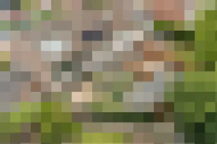 Schokland 25 Zoetermeer thumbnail 46