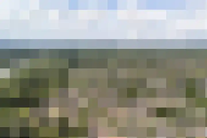 Schokland 25 Zoetermeer thumbnail 47