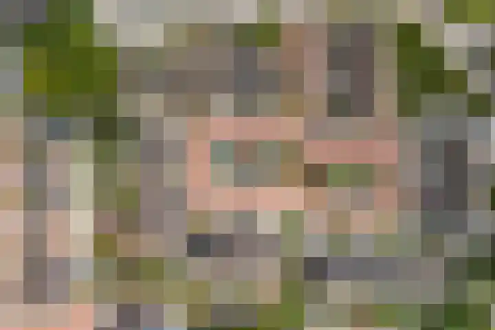 Schokland 25 Zoetermeer thumbnail 48