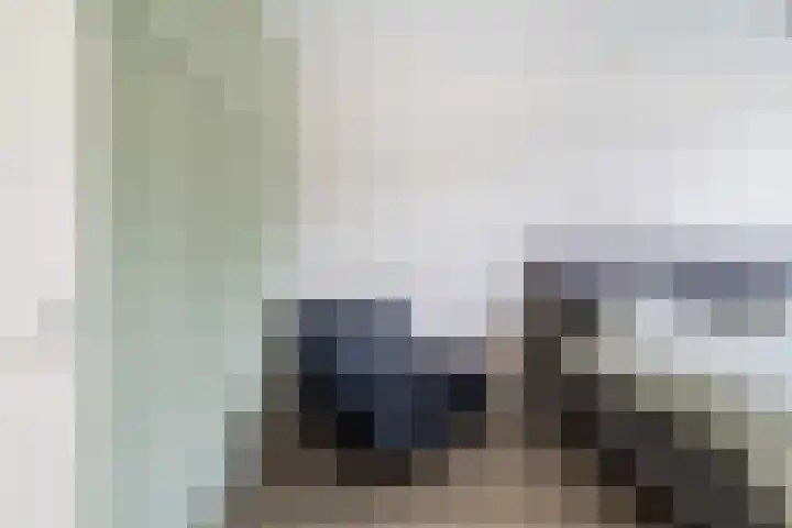 Schokland 25 Zoetermeer thumbnail 50