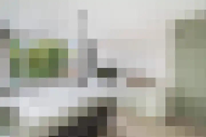 Schokland 25 Zoetermeer thumbnail 51