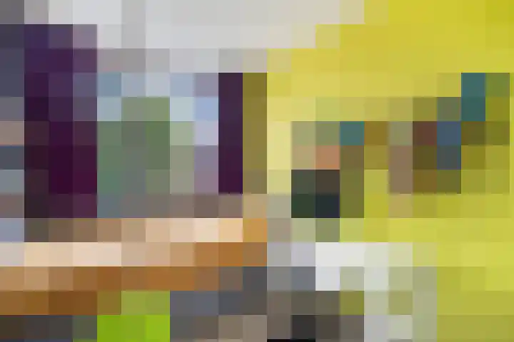Schokland 25 Zoetermeer thumbnail 56