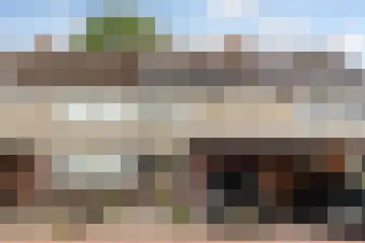 Schokland 25 Zoetermeer thumbnail 6