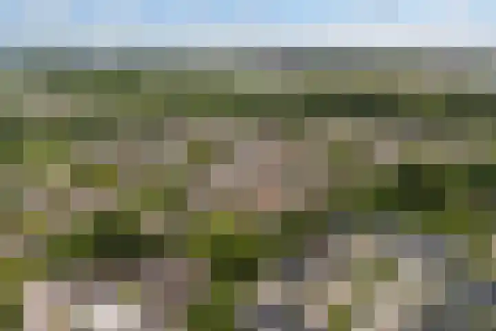 Schokland 25 Zoetermeer thumbnail 8