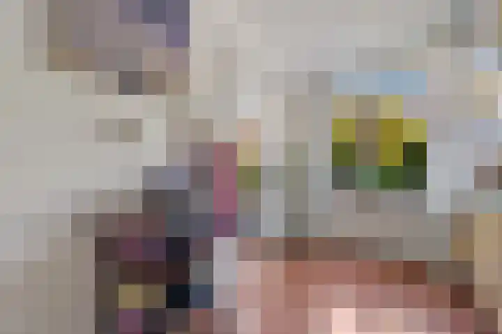 Schokland 29 Zoetermeer thumbnail 12