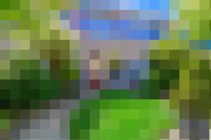Schokland 29 Zoetermeer thumbnail 14