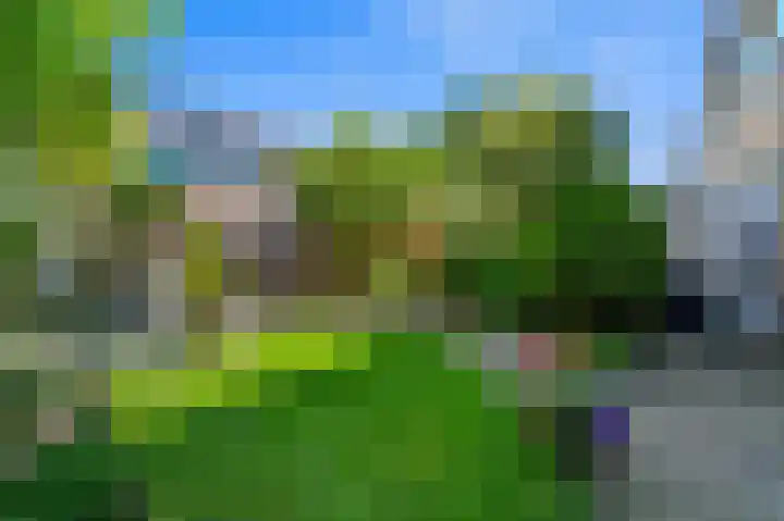 Schokland 29 Zoetermeer thumbnail 15