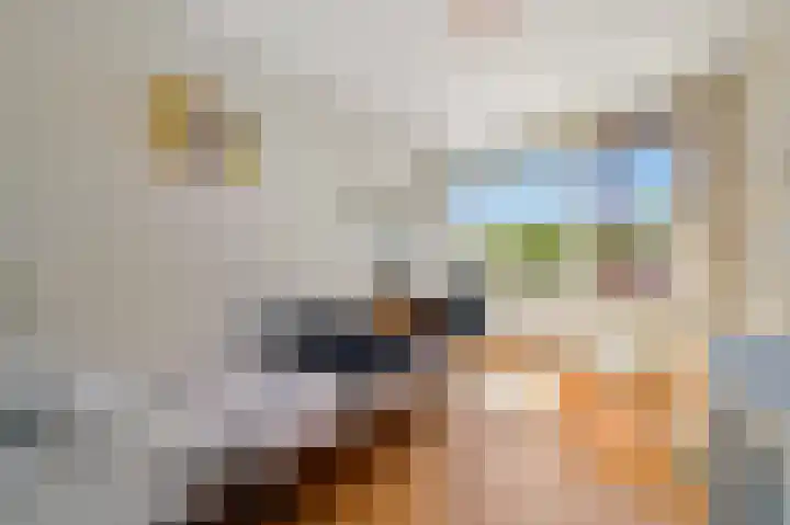 Schokland 29 Zoetermeer thumbnail 23