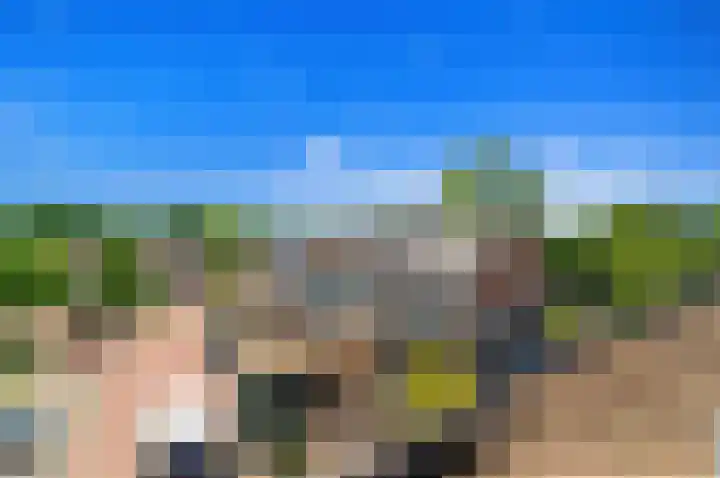 Schokland 29 Zoetermeer thumbnail 41