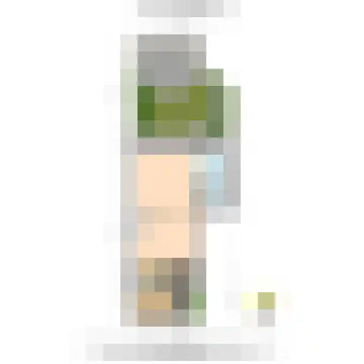 Schokland 29 Zoetermeer thumbnail 46