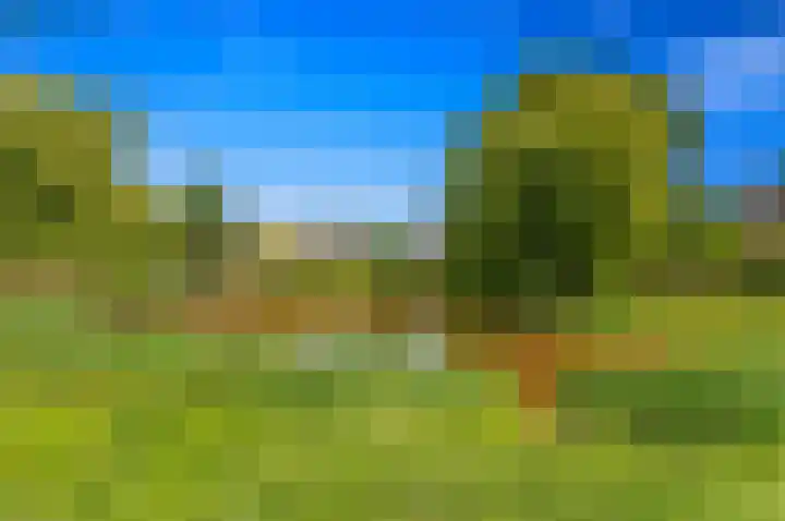 Schokland 29 Zoetermeer thumbnail 50