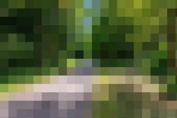 Schokland 29 Zoetermeer thumbnail 51