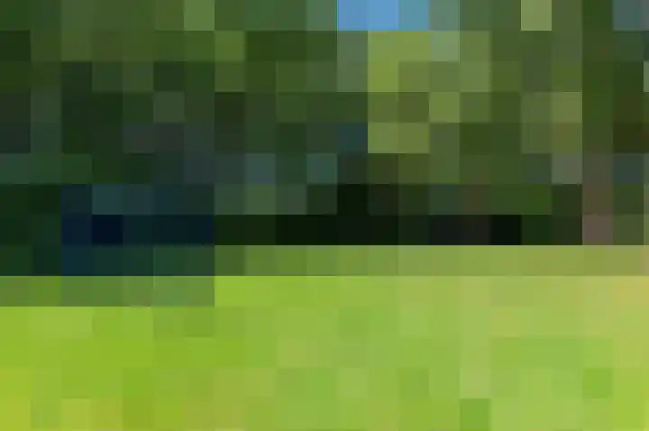 Schokland 29 Zoetermeer thumbnail 55