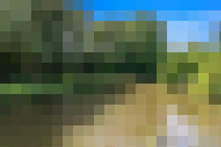 Schokland 29 Zoetermeer thumbnail 59