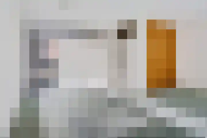 Schokland 3 Zoetermeer thumbnail 13