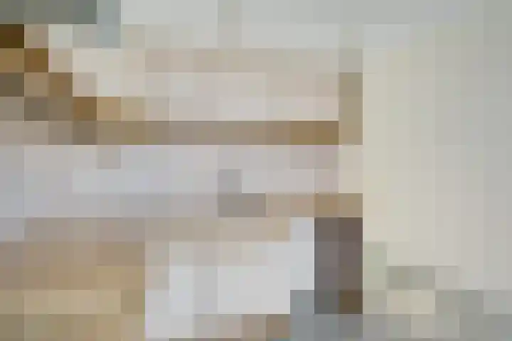 Schokland 3 Zoetermeer thumbnail 17