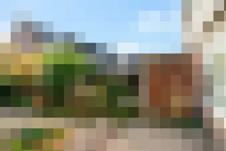 Schokland 3 Zoetermeer thumbnail 18