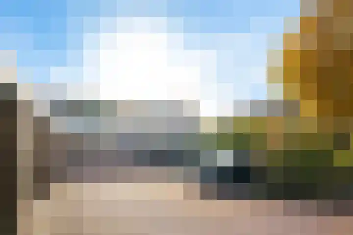 Schokland 3 Zoetermeer thumbnail 40