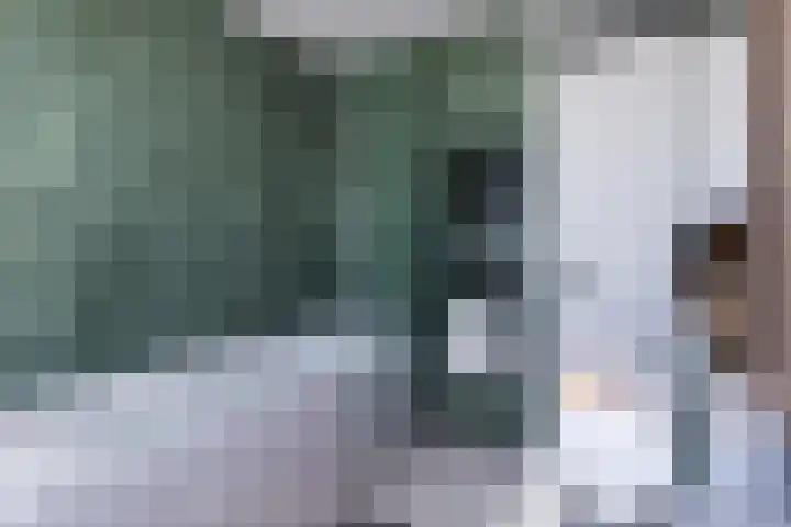Schokland 3 Zoetermeer thumbnail 8