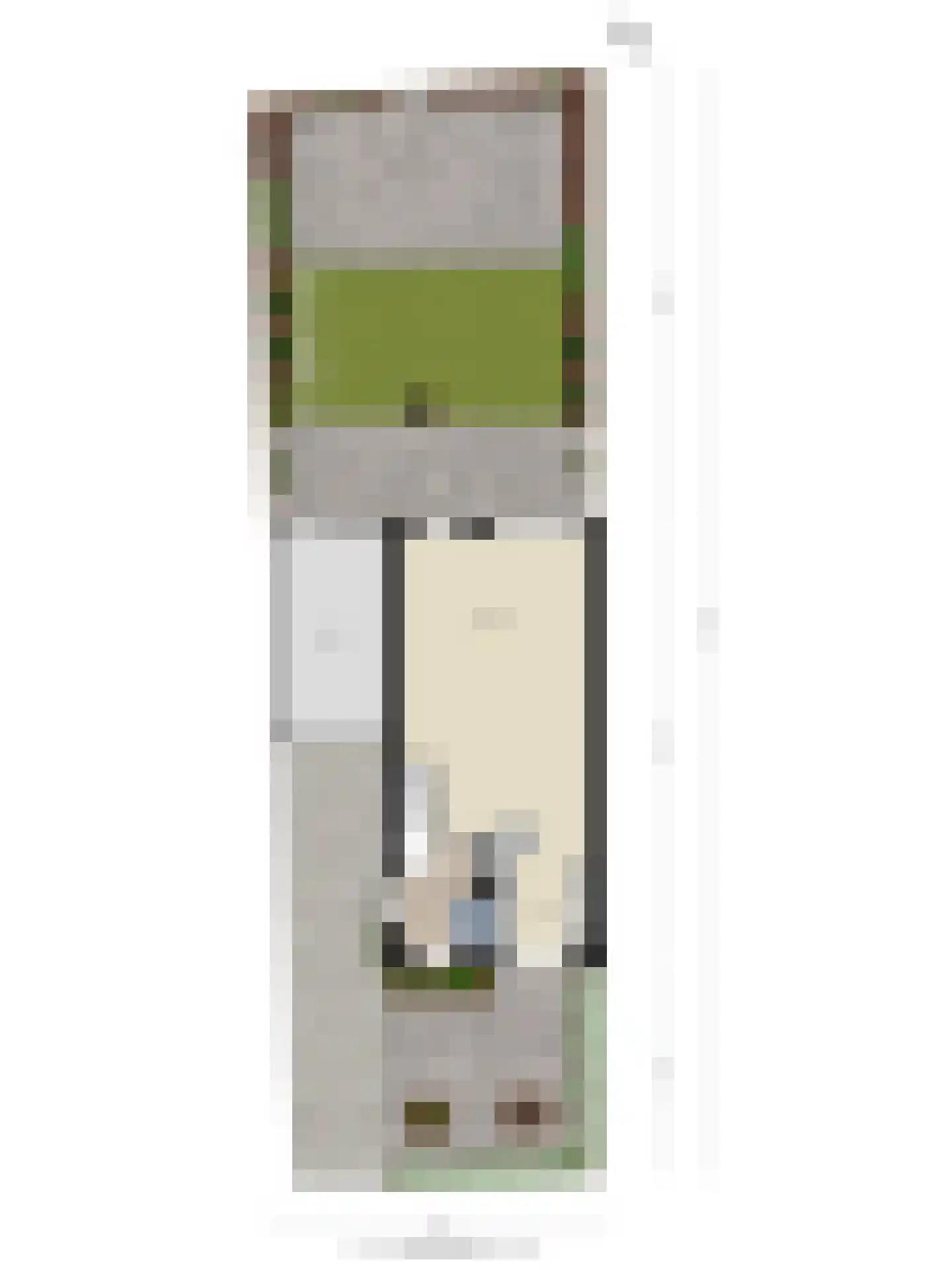 Schoklandplantsoen 36 Gouda thumbnail 35