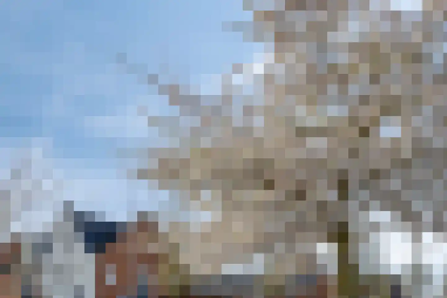 Schoklandplantsoen 36 Gouda thumbnail 66