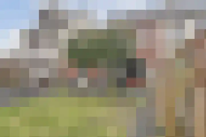Schoklandplantsoen 52 Gouda thumbnail 41