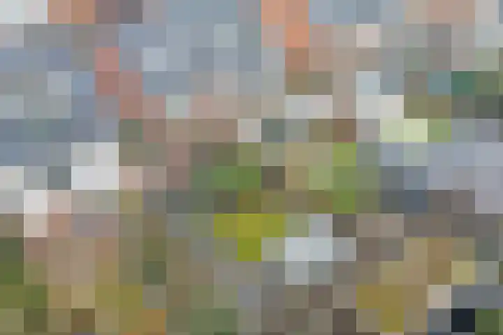 Schoklandplantsoen 52 Gouda thumbnail 44
