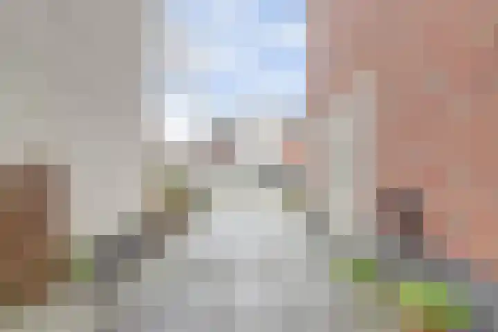 Schoklandplantsoen 52 Gouda thumbnail 6