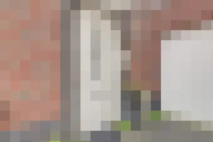 Schoklandplantsoen 52 Gouda thumbnail 7