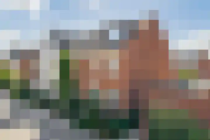 Schoklandplantsoen 61 Gouda thumbnail 6