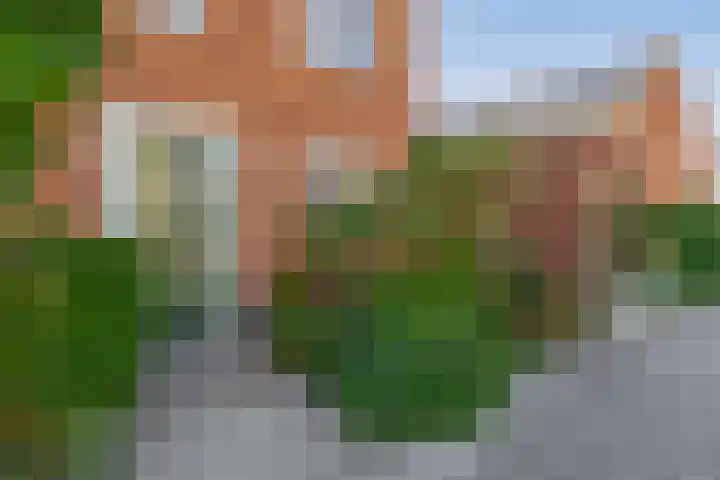 Schoklandplantsoen 61 Gouda thumbnail 7