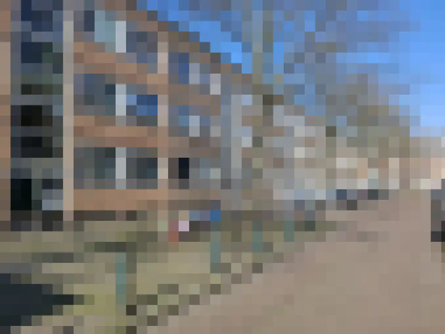 Schoklandsestraat 19 B Rotterdam thumbnail 12