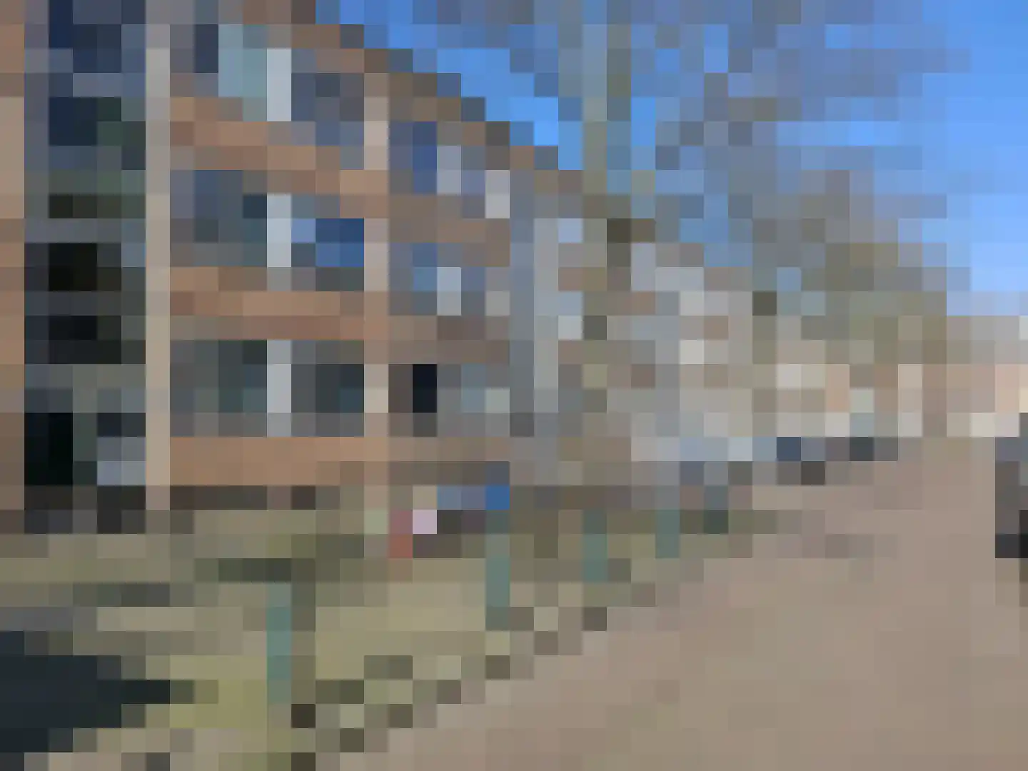 Schoklandsestraat 19 C Rotterdam thumbnail 12