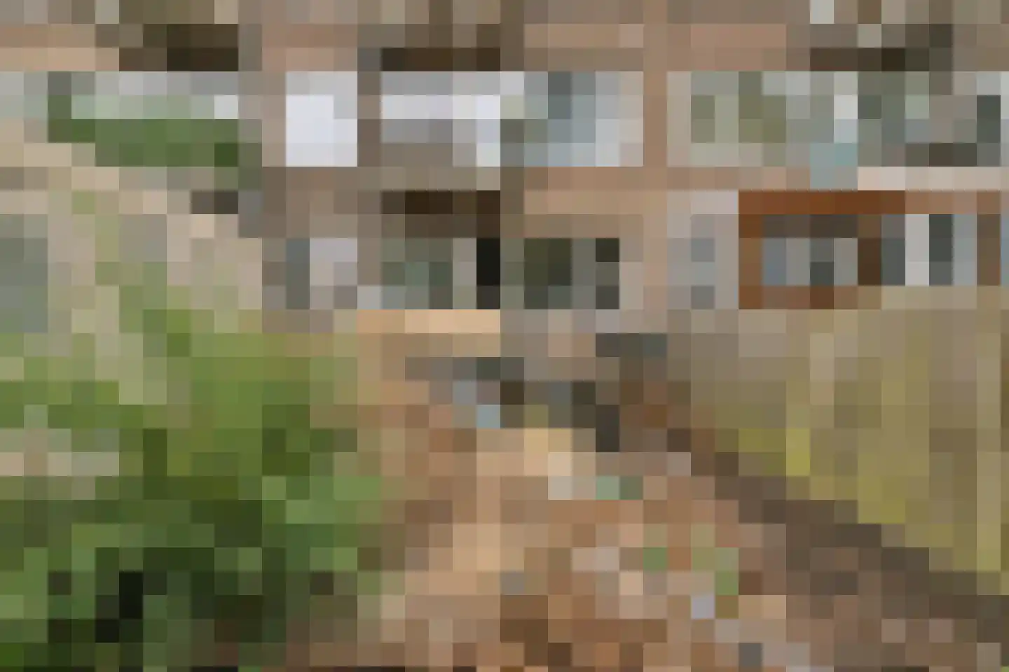 Schoklandsestraat 3 A Rotterdam thumbnail 13
