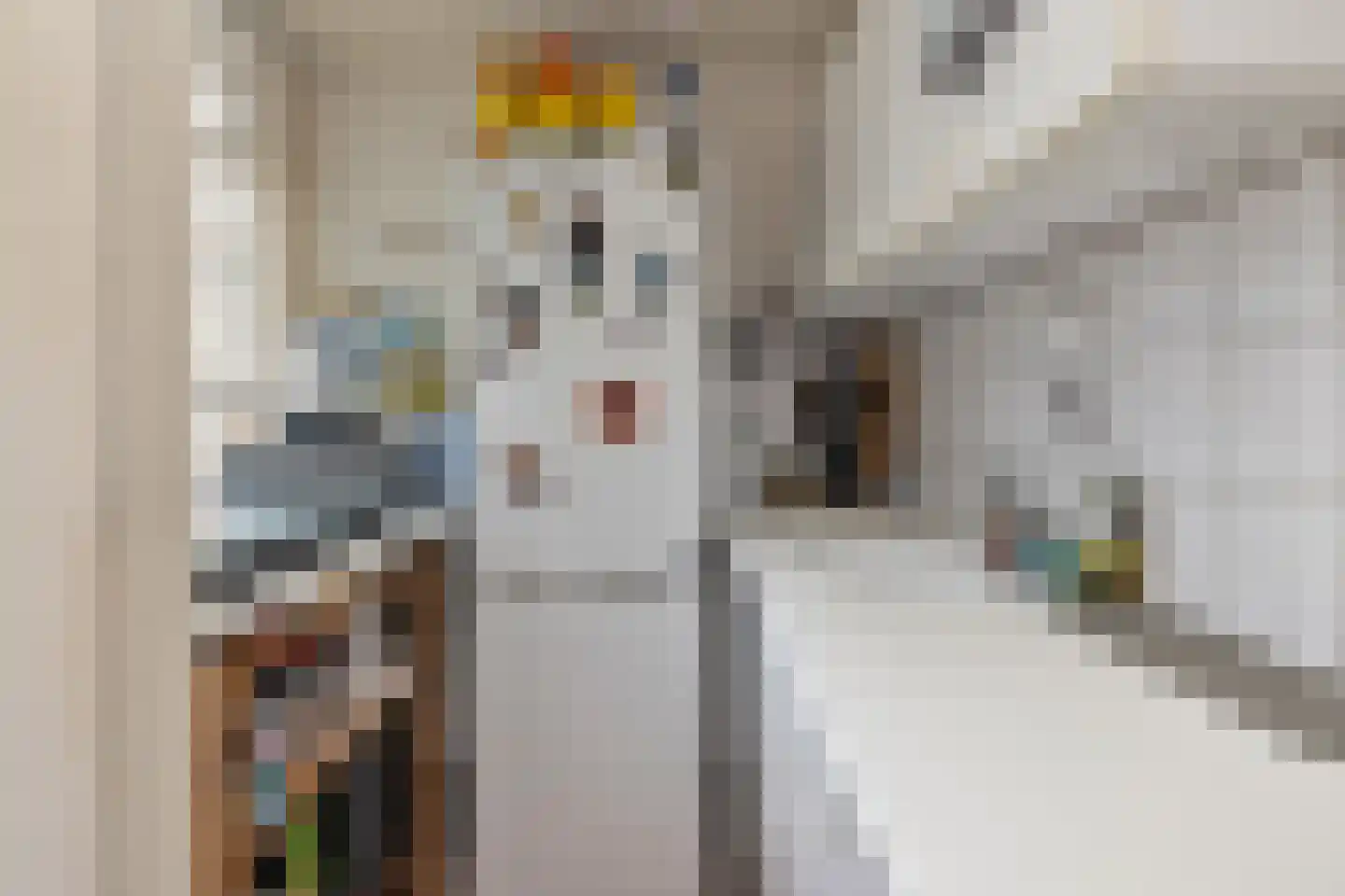 Schoklandsestraat 3 A Rotterdam thumbnail 7