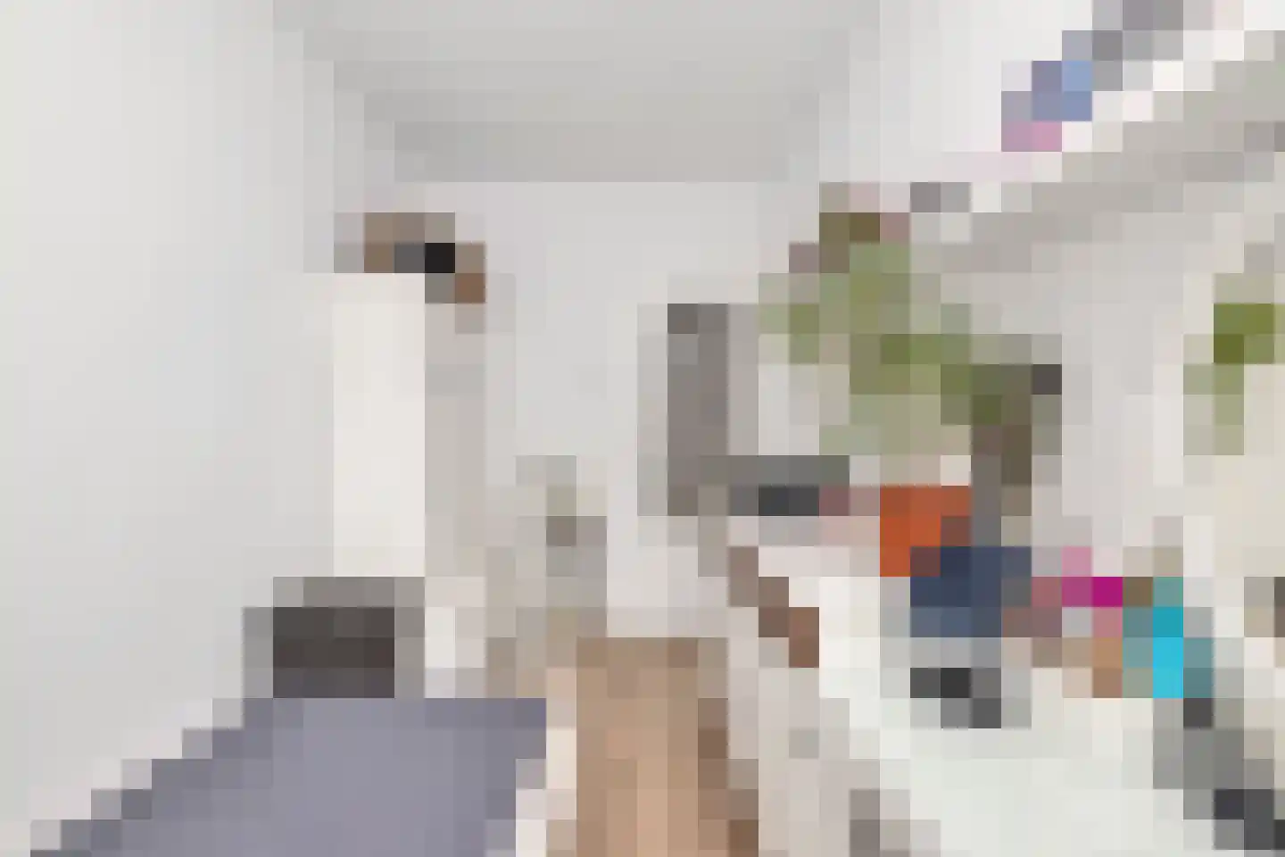Schoklandsestraat 3 A Rotterdam thumbnail 8