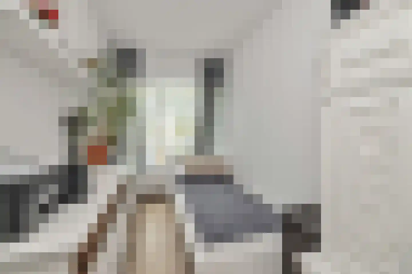 Schoklandsestraat 3 B Rotterdam thumbnail 7