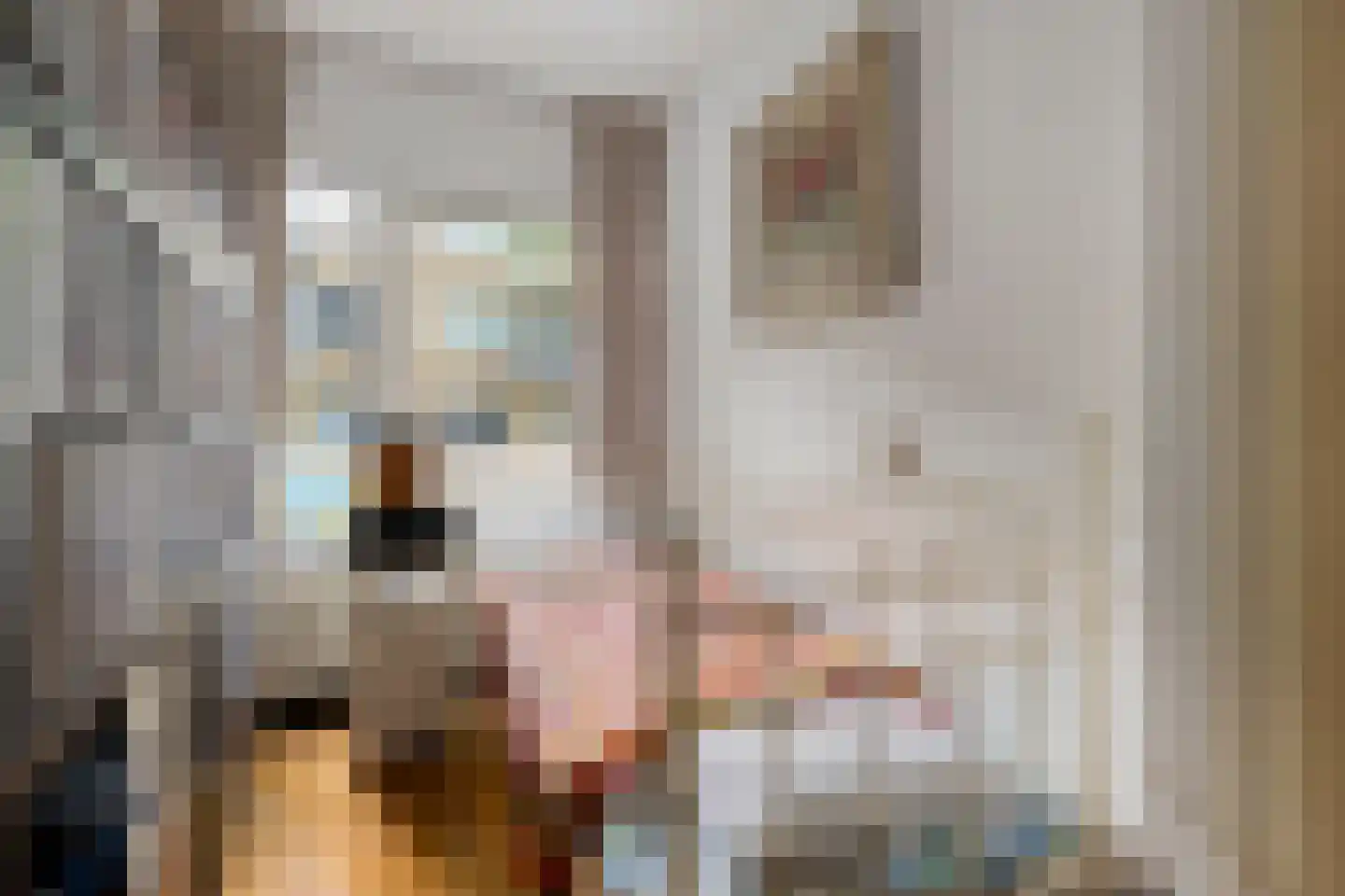 Schoklandsestraat 7 C Rotterdam thumbnail 19