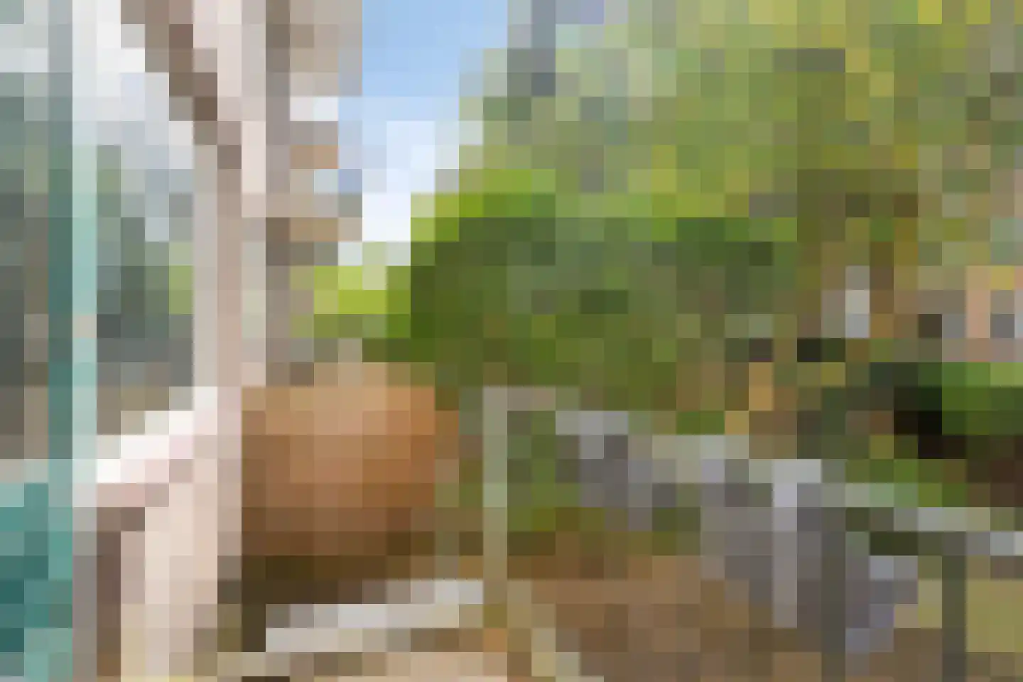 Schoklandsestraat 7 C Rotterdam thumbnail 22