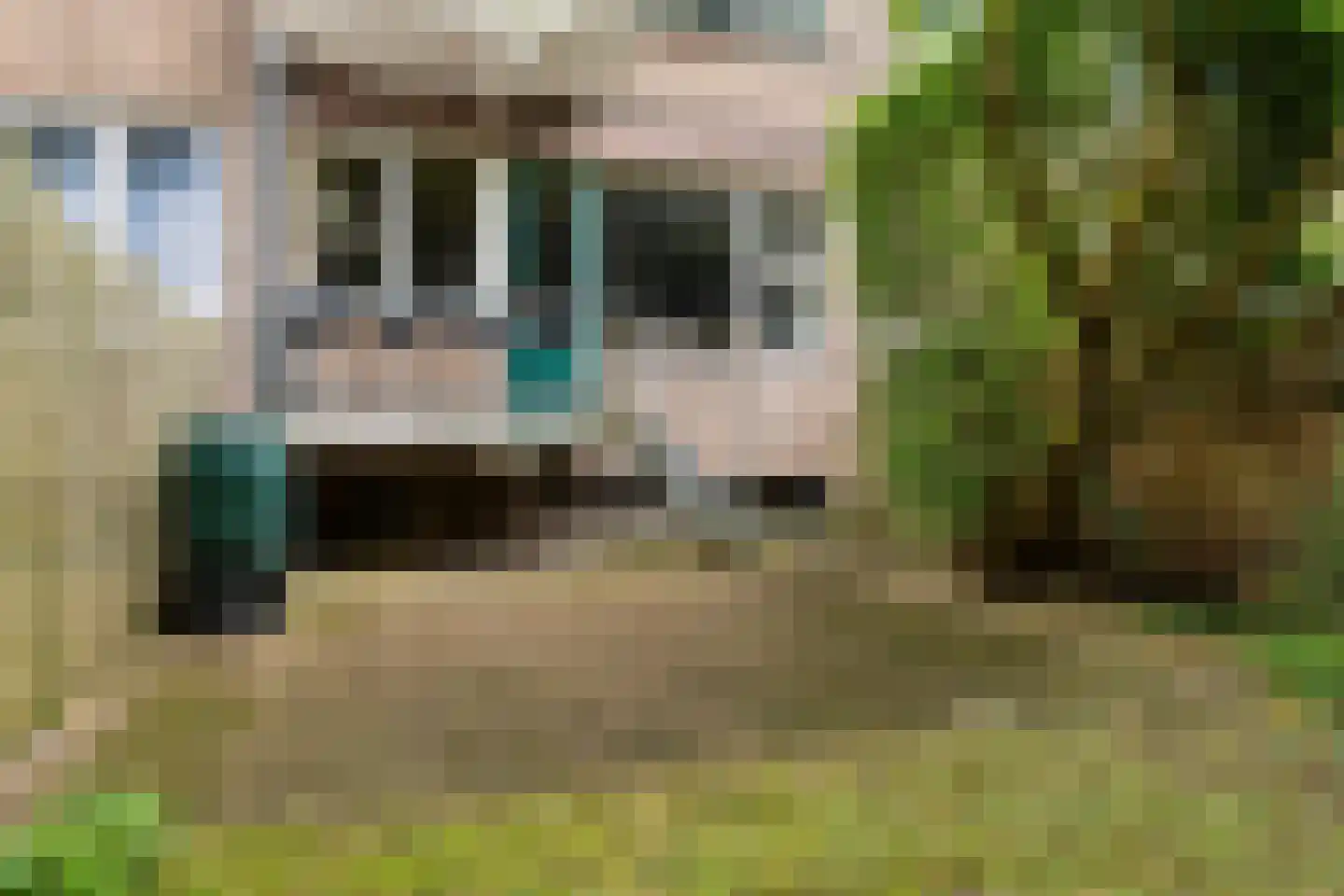 Schoklandsestraat 7 C Rotterdam thumbnail 24