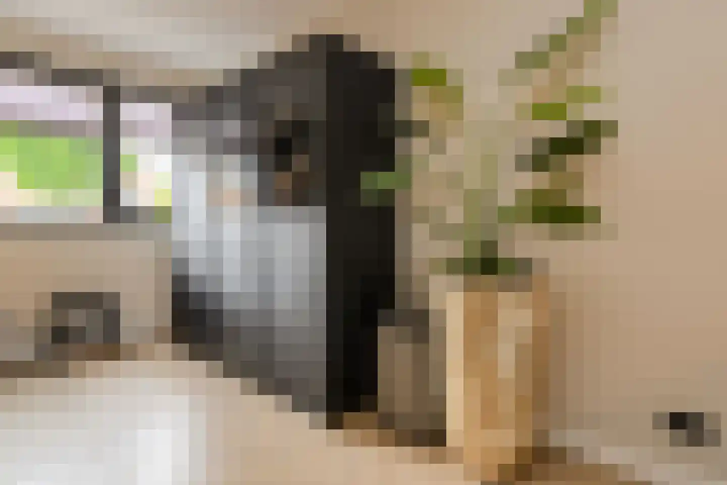 Schoklandstraat 2 C Breda thumbnail 12