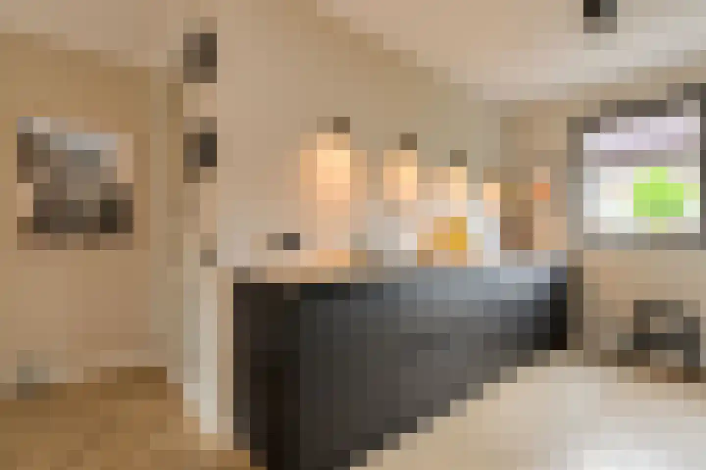 Schoklandstraat 2 C Breda thumbnail 13