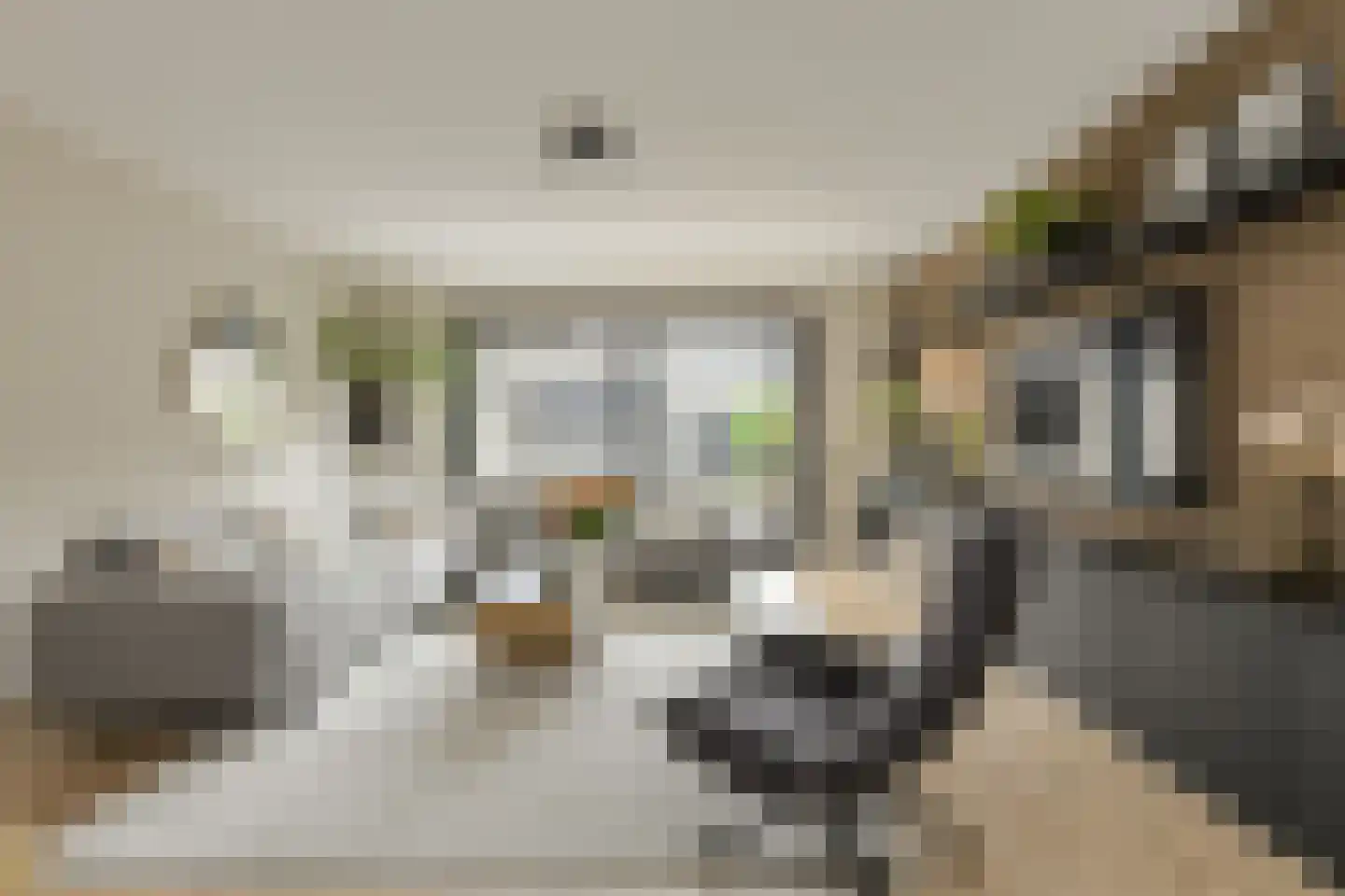 Schoklandstraat 2 C Breda thumbnail 4