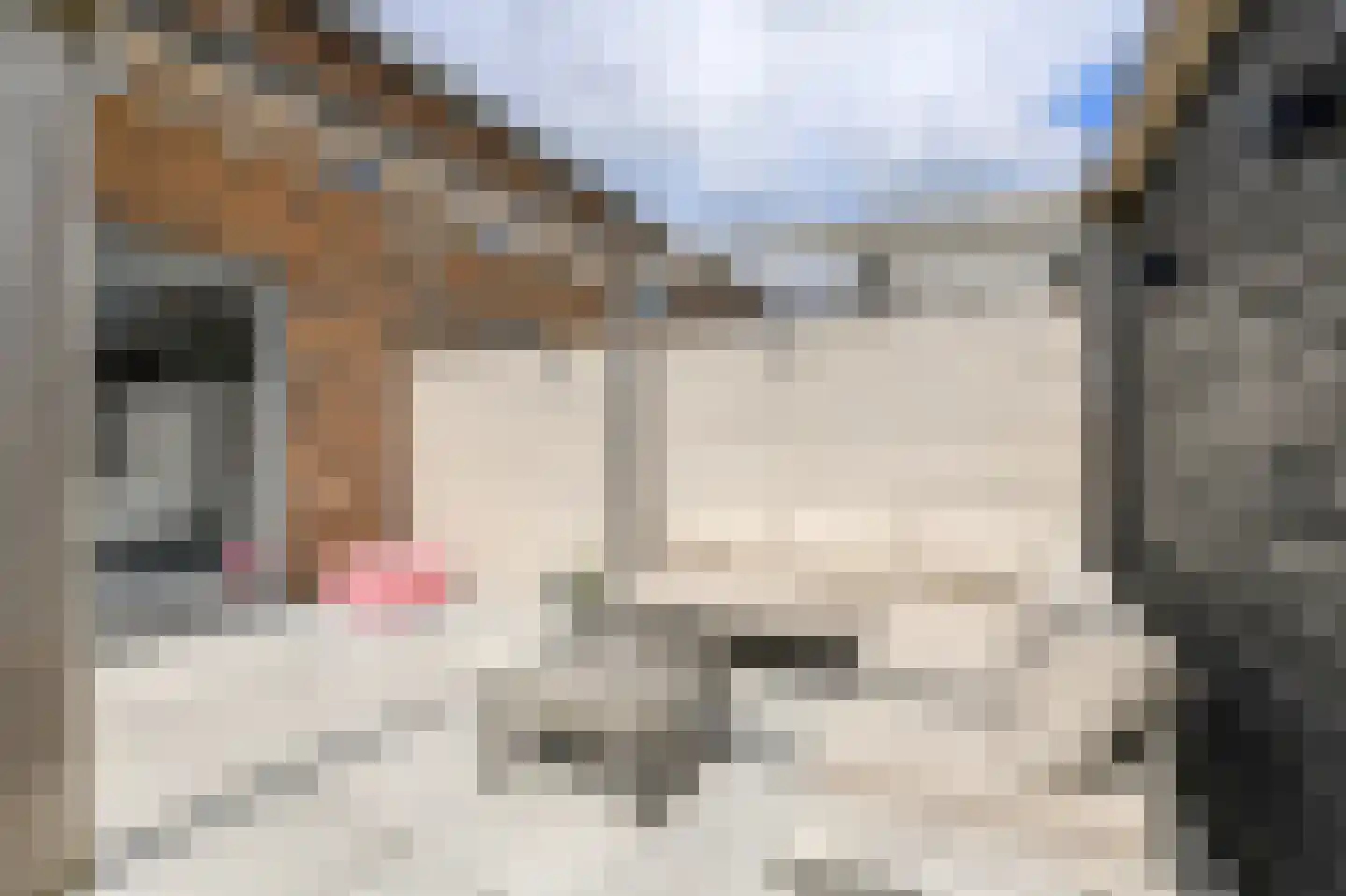 Schoklandstraat 2 C Breda thumbnail 43