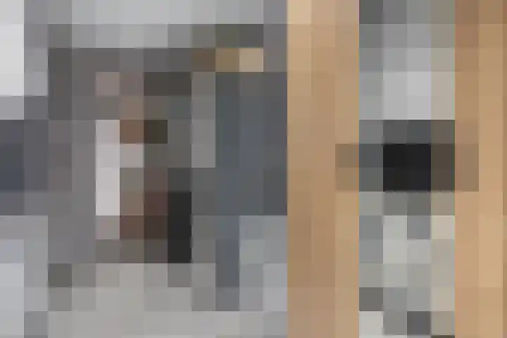 Schoklandstraat 24 Hoogeveen thumbnail 12