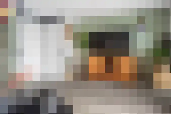 Schoklandstraat 24 Hoogeveen thumbnail 6