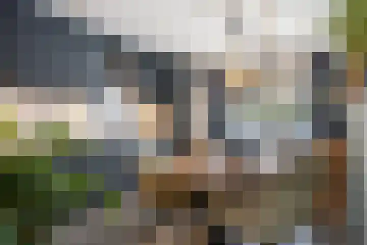 Schoklandstraat 24 Hoogeveen thumbnail 8