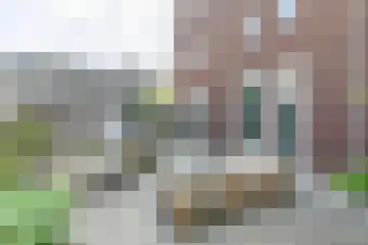 Schoklandstraat 43 Amersfoort thumbnail 26