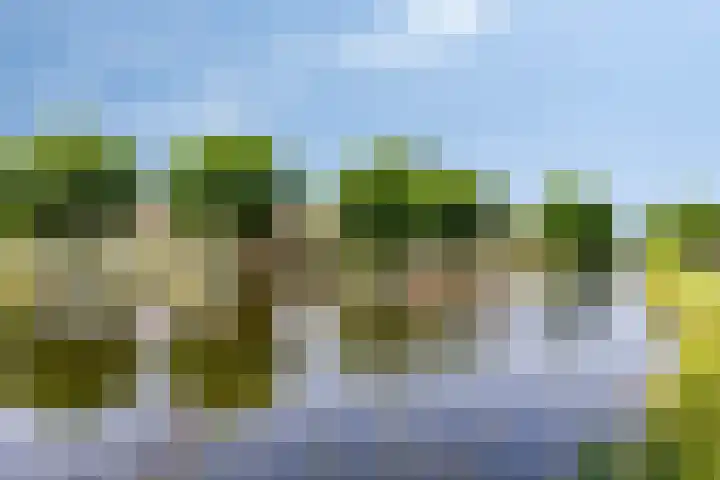 Schoklandstraat 43 Volendam thumbnail 35