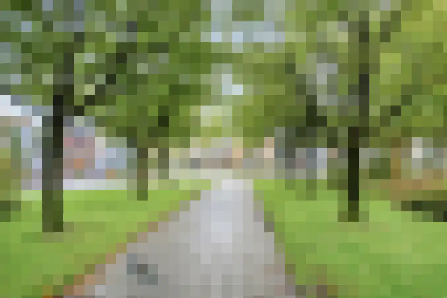 Schoklandstraat 46 Hoogeveen thumbnail 50